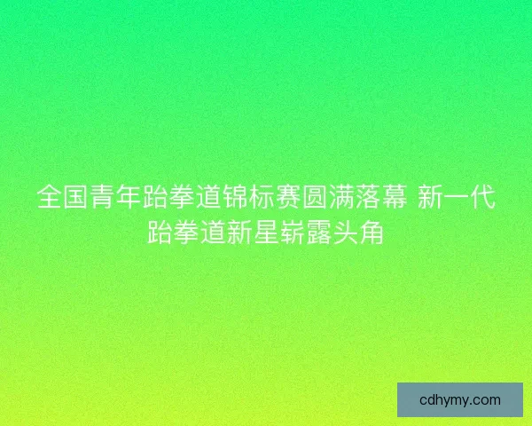 全国青年跆拳道锦标赛圆满落幕 新一代跆拳道新星崭露头角