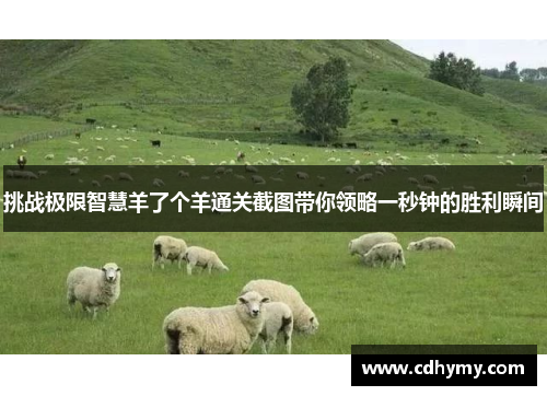 挑战极限智慧羊了个羊通关截图带你领略一秒钟的胜利瞬间