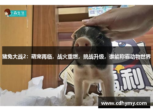 猪兔大战2：萌宠再临，战火重燃，挑战升级，谁能称霸动物世界