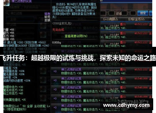 飞升任务：超越极限的试炼与挑战，探索未知的命运之路